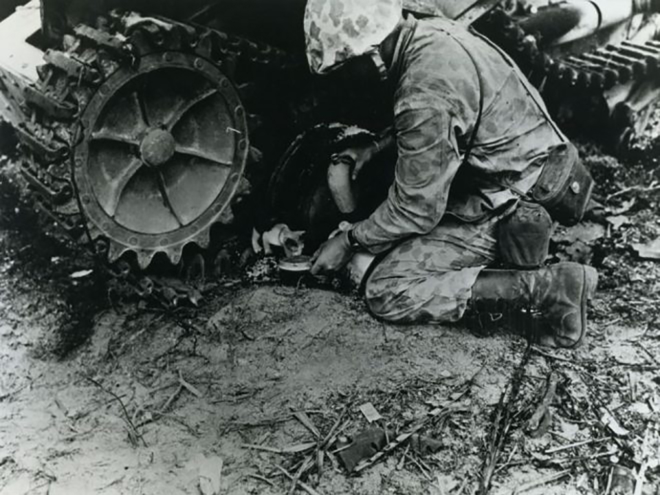 Cats? In the Military?! | The National WWII Museum | New Orleans